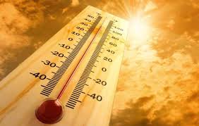 ಬಿಸಿಲ ತಾಪಕ್ಕೆ ಓರ್ವ ಬಲಿ